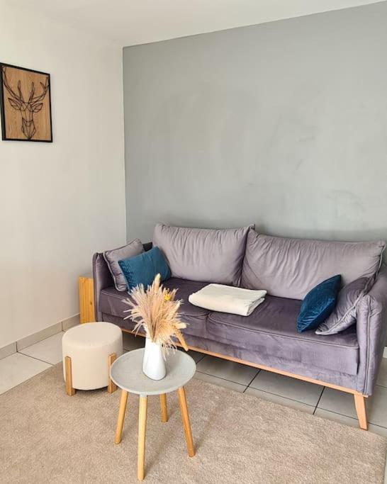 Gite De 70M² Avec Vue Sur Le Massif Du Pilat Clonas-sur-Vareze Exterior foto