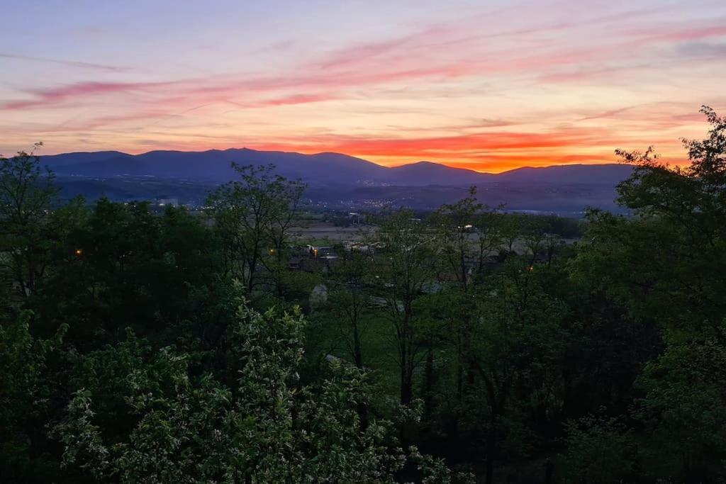 Gite De 70M² Avec Vue Sur Le Massif Du Pilat Clonas-sur-Vareze Exterior foto