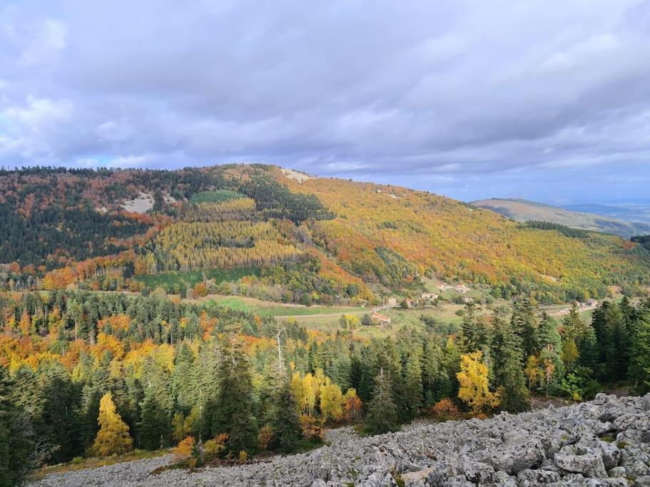 Gite De 70M² Avec Vue Sur Le Massif Du Pilat Clonas-sur-Vareze Exterior foto