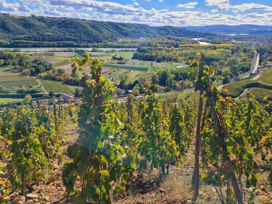Gite De 70M² Avec Vue Sur Le Massif Du Pilat Clonas-sur-Vareze Exterior foto
