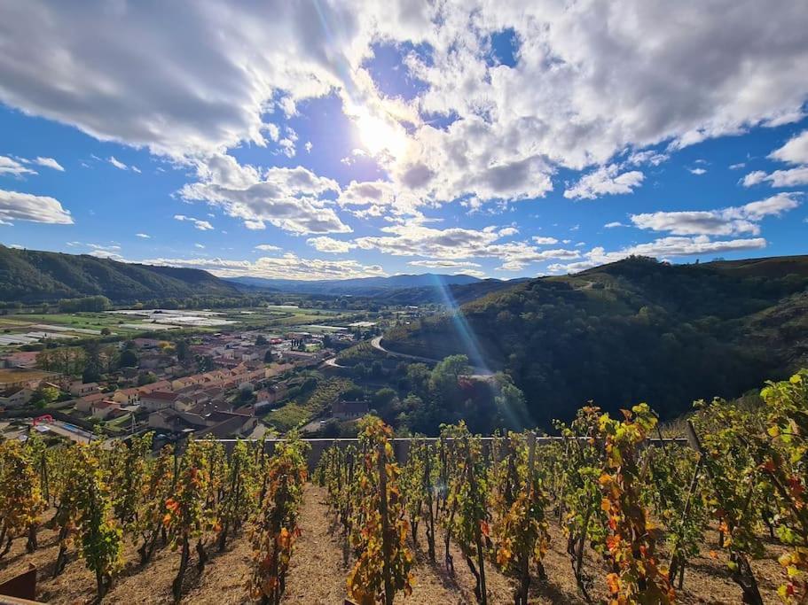Gite De 70M² Avec Vue Sur Le Massif Du Pilat Clonas-sur-Vareze Exterior foto